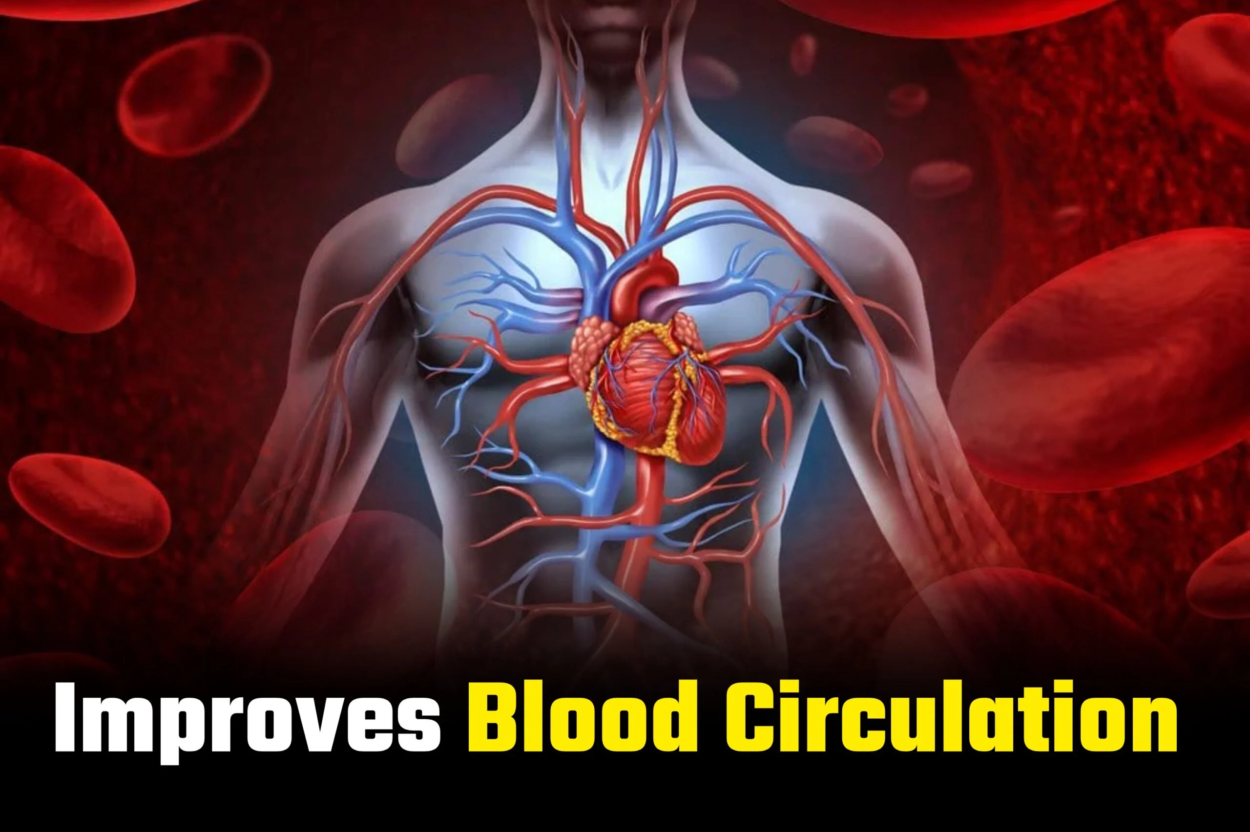 Improves blood circulation